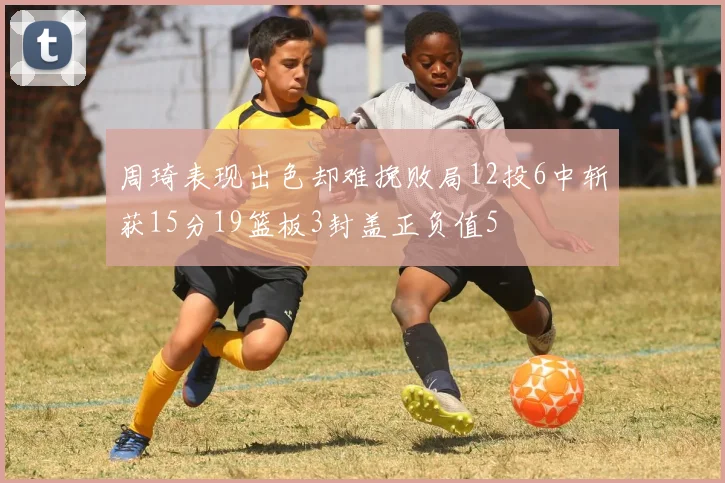 周琦表现出色却难挽败局12投6中斩获15分19篮板3封盖正负值5