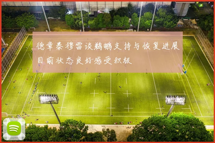 德章泰穆雷谈鹈鹕支持与恢复进展目前状态良好感受积极