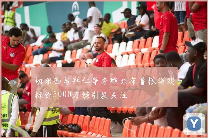 切尔西与拜仁争夺维尔布鲁根海鸥标价5000万镑引发关注