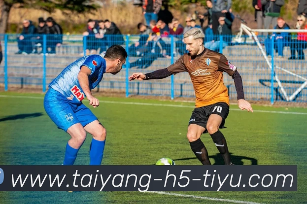 太阳城平台生态图