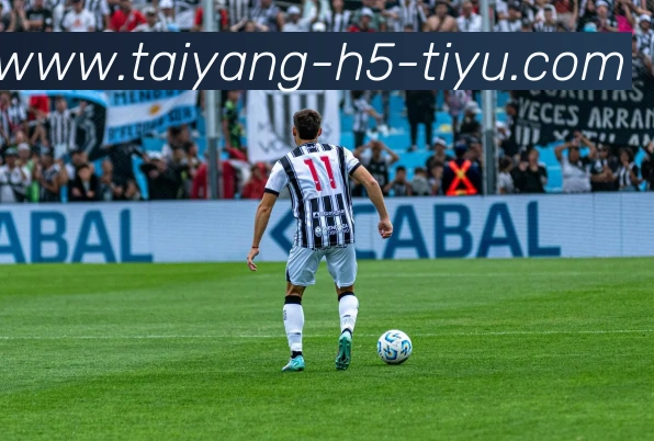 太阳城APP 封面图